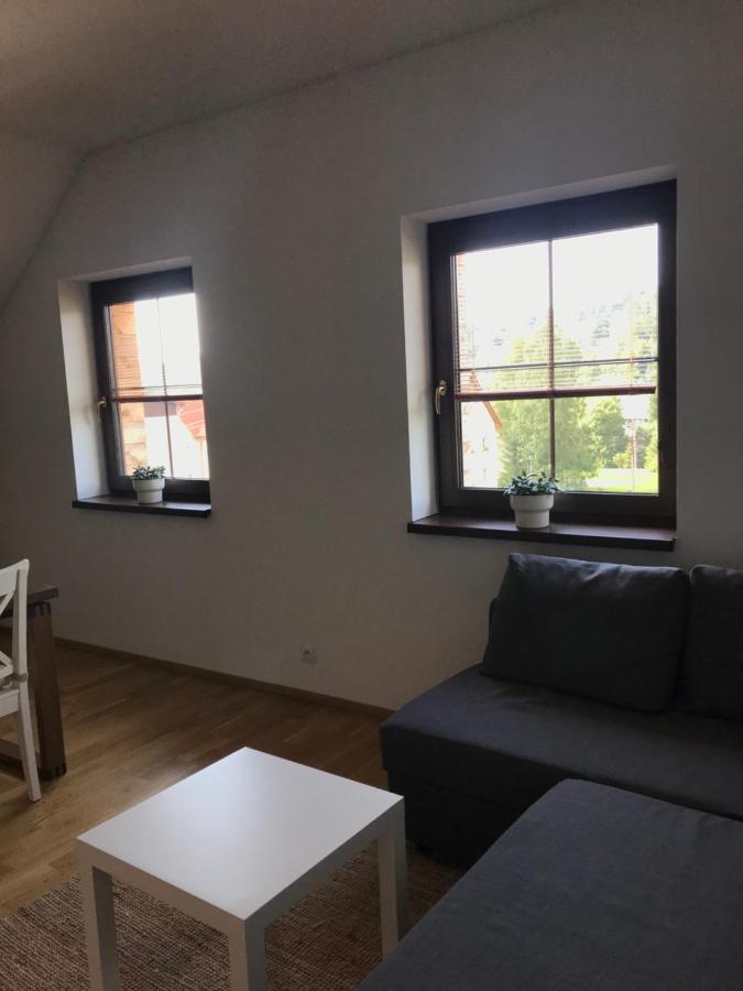 Ubytování U Potoka Destne v Orlickych horach Exterior foto