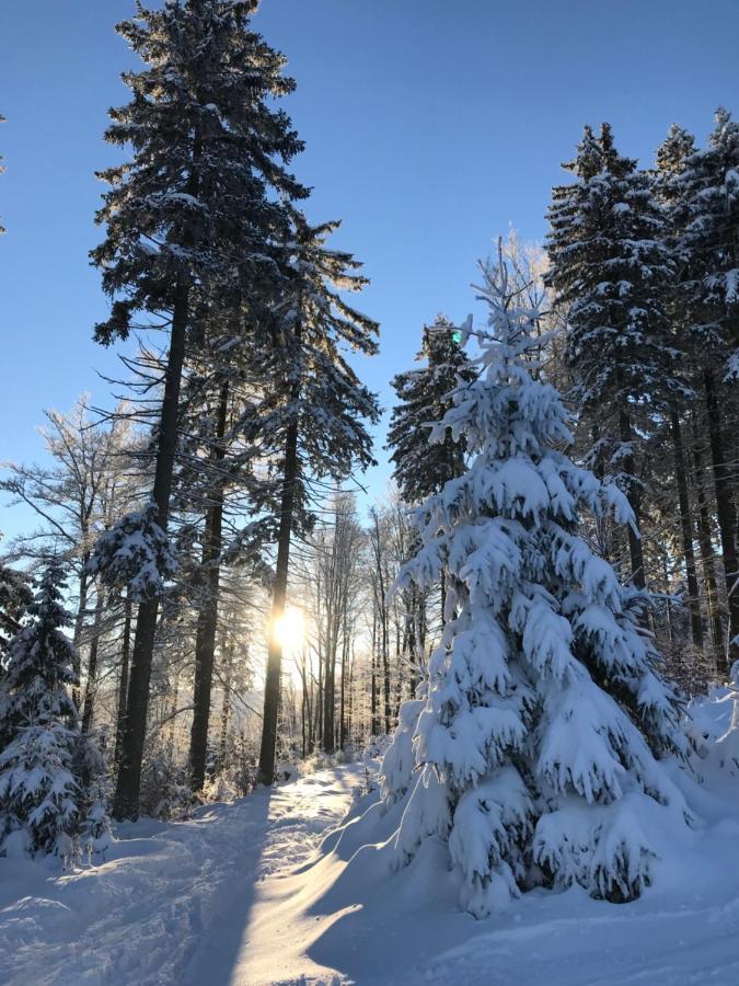 Ubytování U Potoka Destne v Orlickych horach Exterior foto