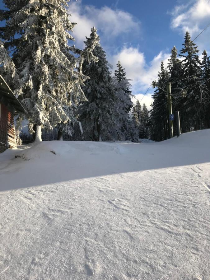 Ubytování U Potoka Destne v Orlickych horach Exterior foto