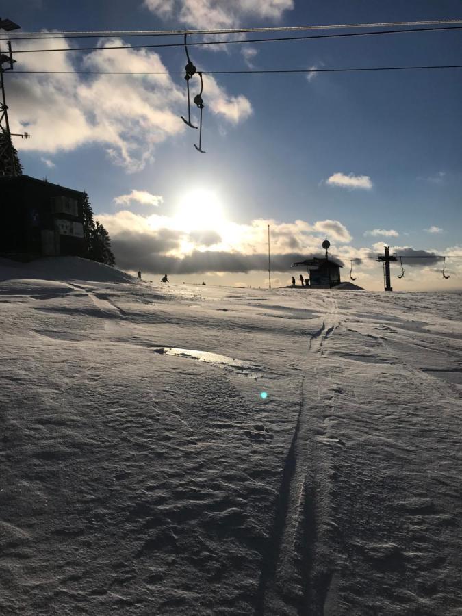 Ubytování U Potoka Destne v Orlickych horach Exterior foto